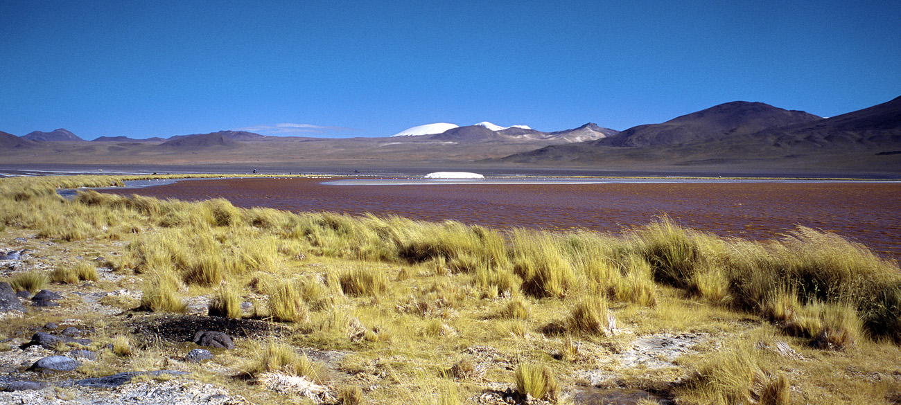chi_6_32 colorada_borax pano.jpg - Sud Lipez - lagunes laguna Colorada on distingue au loin un ilôt blanc de borax